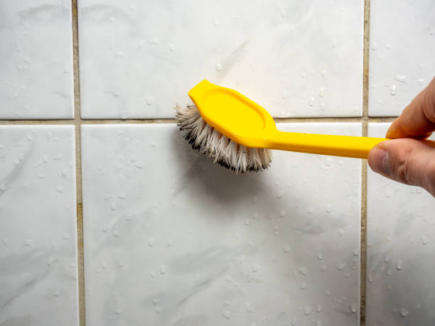  Fairfield, IL Mold Removal Pros
