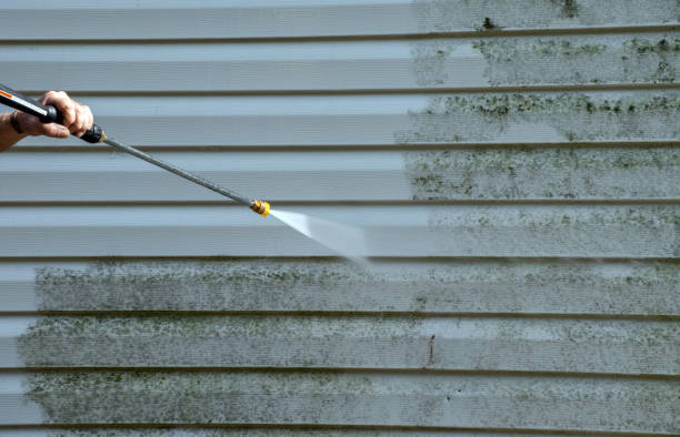 Mold Removal Process in Fairfield, IL