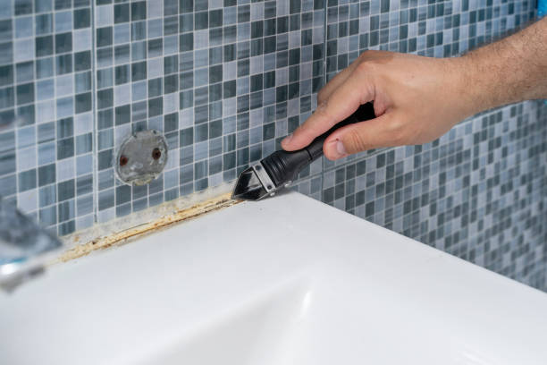 Best Mold Cleaning Services  in Fairfield, IL