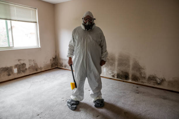 Best Mold Removal Process  in Fairfield, IL